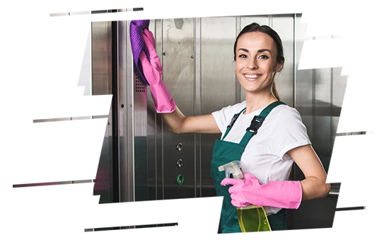 Professional Cleaning Cleaning Services